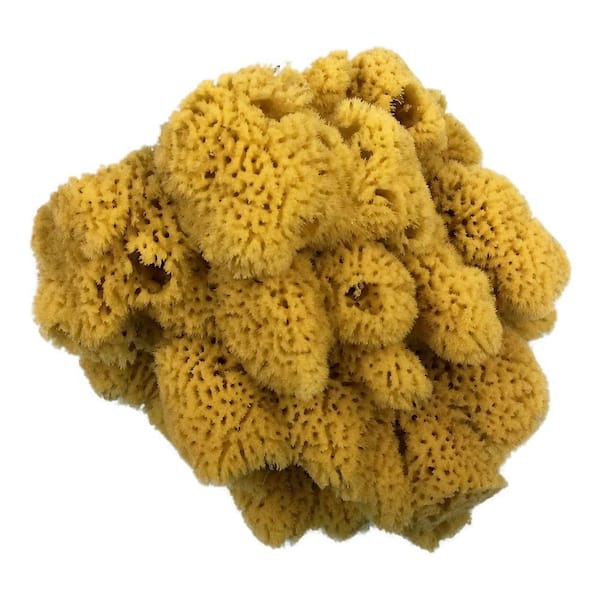 4.7'' square-type Man-made sea grass sponge for wall painting FREE  shippping, 118mm art limitation grass sea sponge