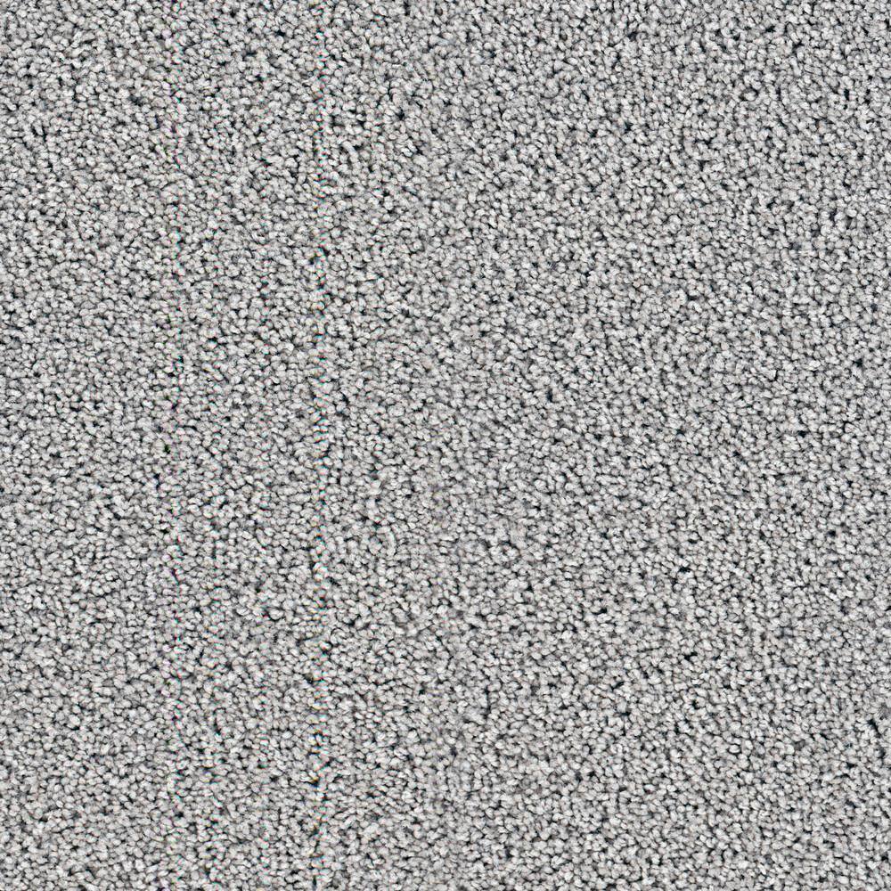 8 in. x  8 in. Texture Carpet Sample - Happy Chance -Color Upbeat price history on PriceWatchPro