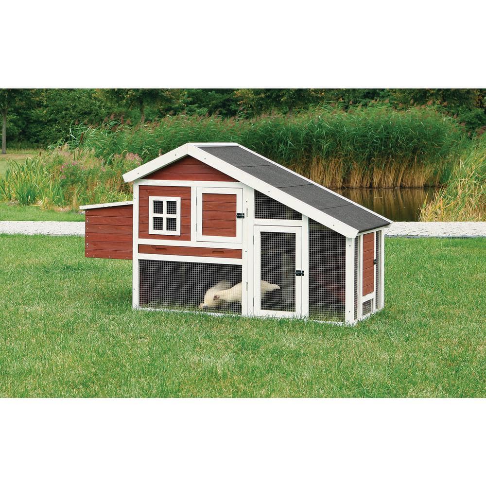 Auburn and White Wooden Chicken Coop with Nesting Boxes