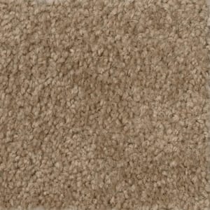 8 in. x 8 in. Texture Carpet Sample - Hot Shot II -Color Tuscan