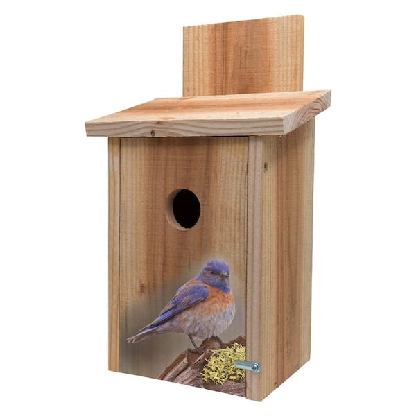S and K Decorative Blue Bird on Stump Design Cedar Blue Bird House