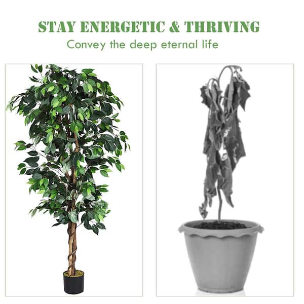 HONEY JOY 72 in. Green Artificial Ficus Silk Tree Faux Potted Greenery  Ficus Plants Decorations in Pot TOPB002737 - The Home Depot
