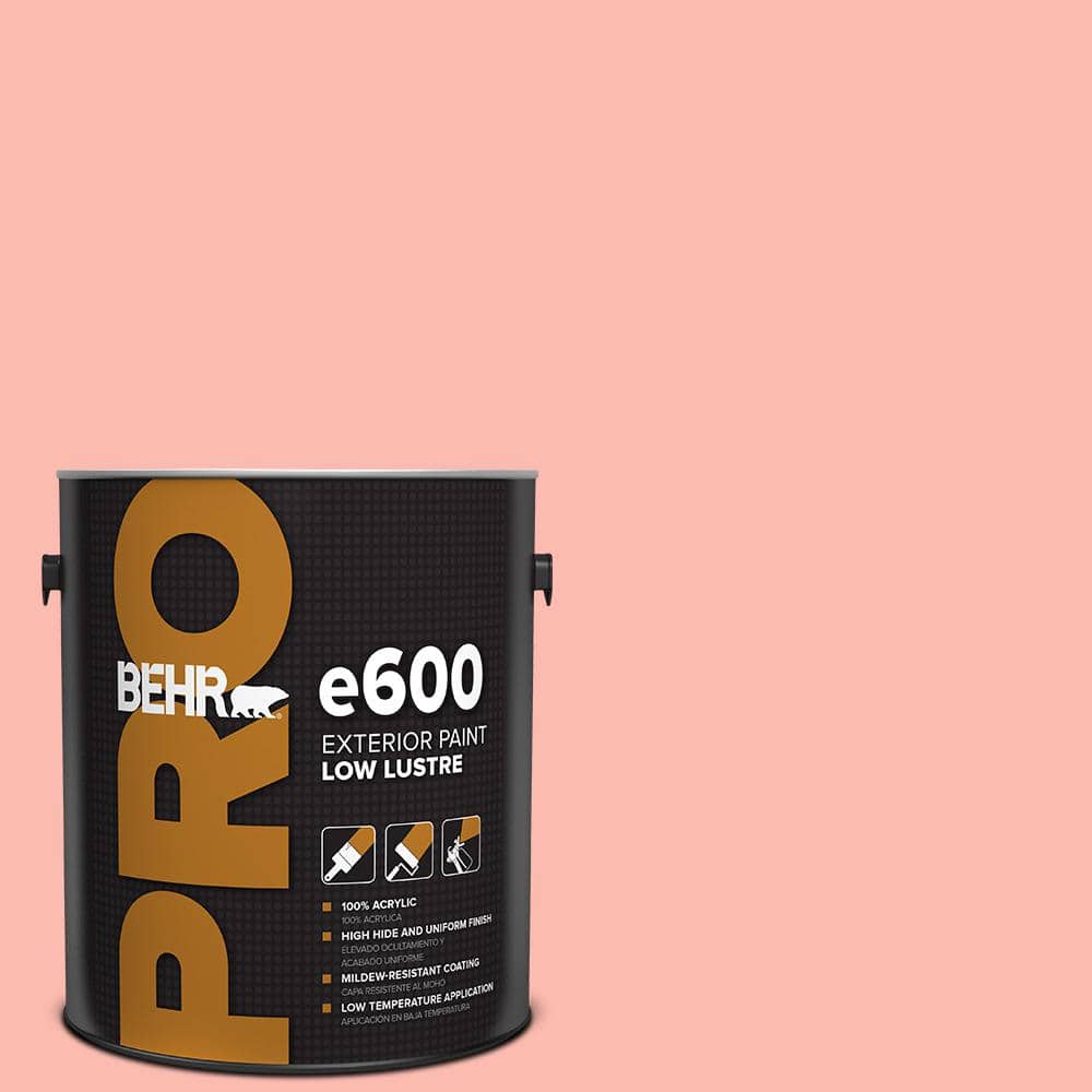 1 gal. #170A-3 Ruffles Low Luster Exterior Paint price history on PriceWatchPro