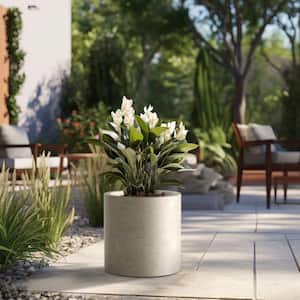 Lightweight 16 in. W. x 16 in. Light Gray Extra Large Tall Round Concrete Plant Pot/Planter for Indoor and Outdoor