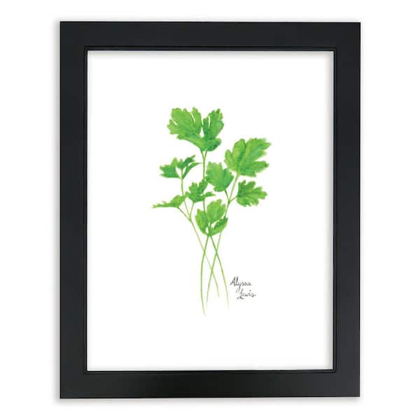 Unbranded Nature's Lace 2 "Parsley" by Alyssa Lewis Individual Black Framed Nature Art Print 24 in. x 18 in.
