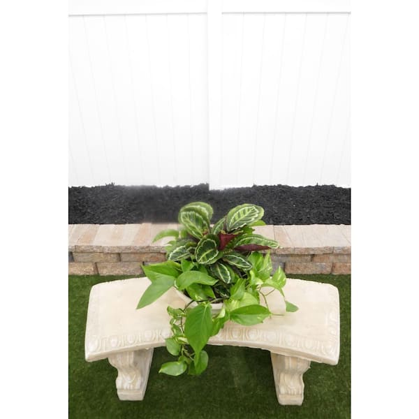BELL NURSERY DIY Series Calathea Roseopicta and Pothos Live Indoor Houseplant Centerpiece Premium Kit in Container