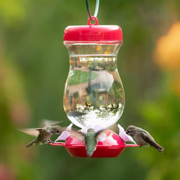 Perky-Pet  Hummingbird  24 oz Plastic  Top Fill  Bird Feeder  4 