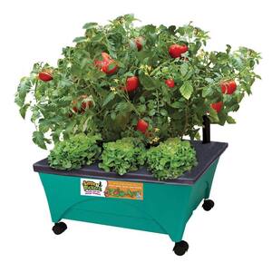 24.5 in. x 20.5 in. Patio Raised Garden Bed Grow Box Kit with Watering System and Casters in Aquamarine