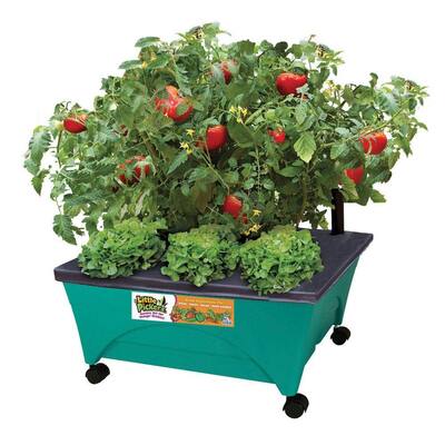 City Pickers 24 5 In X 20 Patio Raised Garden Bed Grow Box Kit With Watering System And Casters Aquamarine Home Depot Inventory Checker Brickseek - Plastic Patio Raised Garden Bed Kit With Watering System And Casters