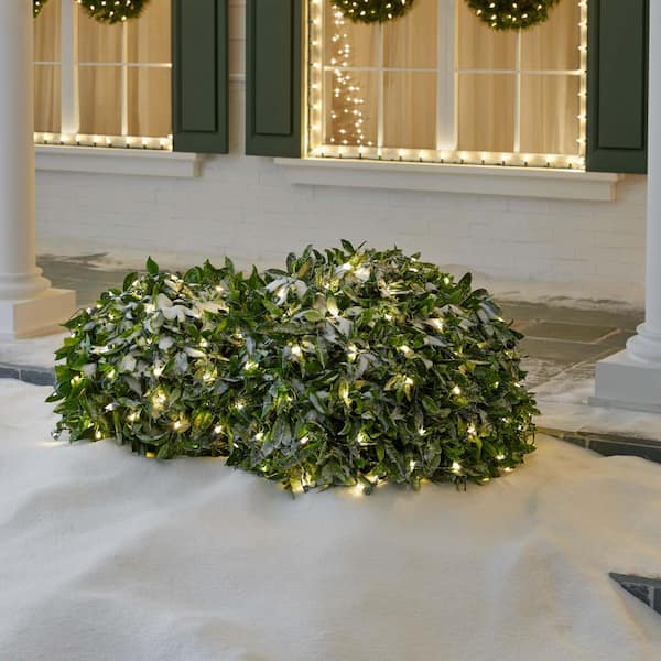 150 Count Warm White Mini LED Net Lights