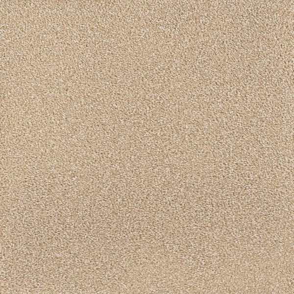 Home Decorators Collection Spicework I  - Norwalk - Beige 40 oz. SD Polyester Texture Installed Carpet