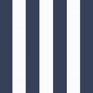 21 in. x 21 in. Sapphire Blue Cabana Stripe Outdoor Dining Chair Cushion