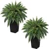 Vitalismo 30in. Artificial Boston Fern w/Black Square Planter UV-Resistant Fake Plant 38 Fronds for Indoor Outdoor Decor(Set of 2) NOHK0231GLGRN