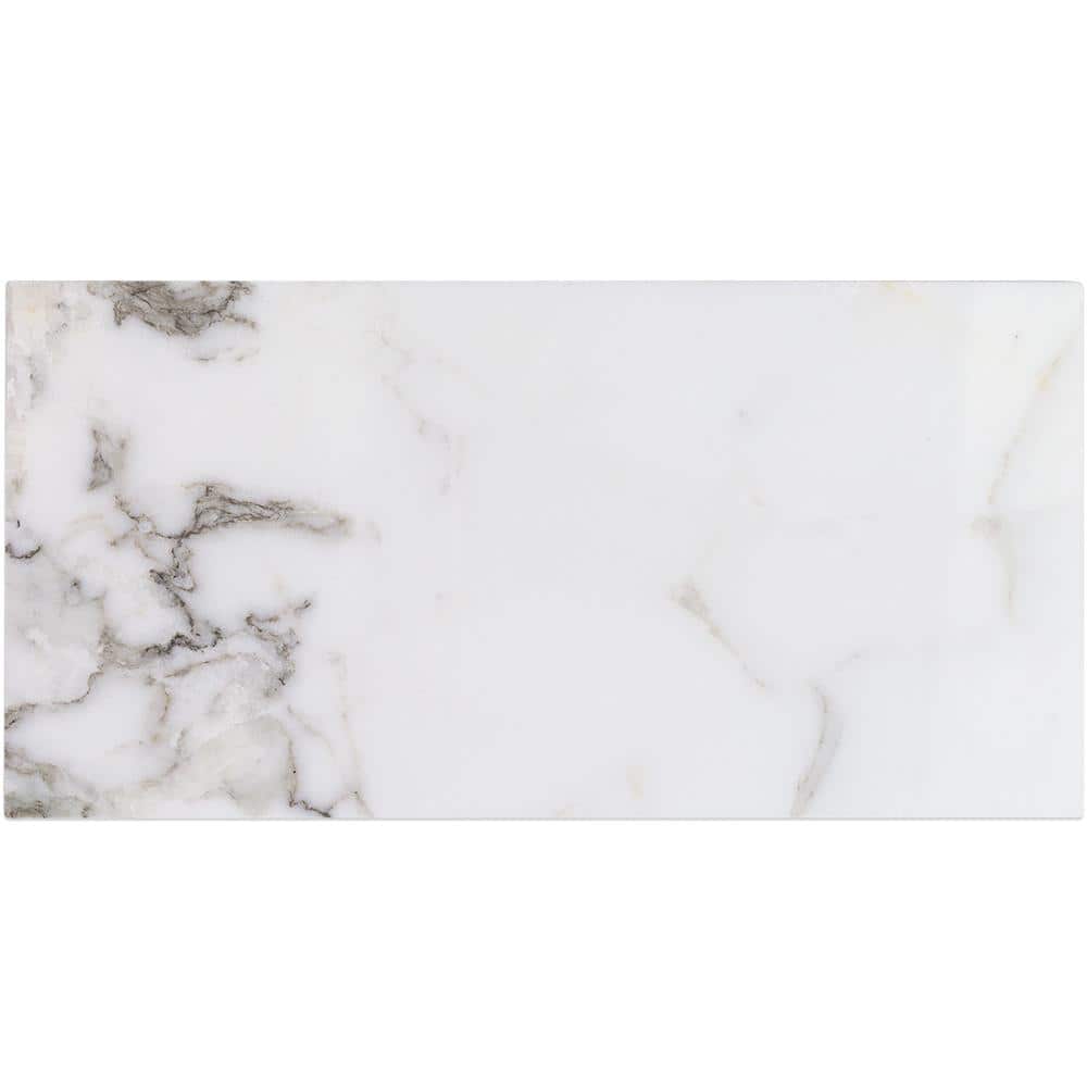 Carrara Gold 4 in. x 0.39 in. Polished Marble Wall Tile Sample price history on PriceWatchPro