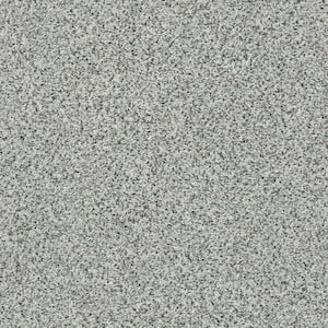 Karma I - Metro - Gray 41.2 oz. Nylon Texture Installed Carpet