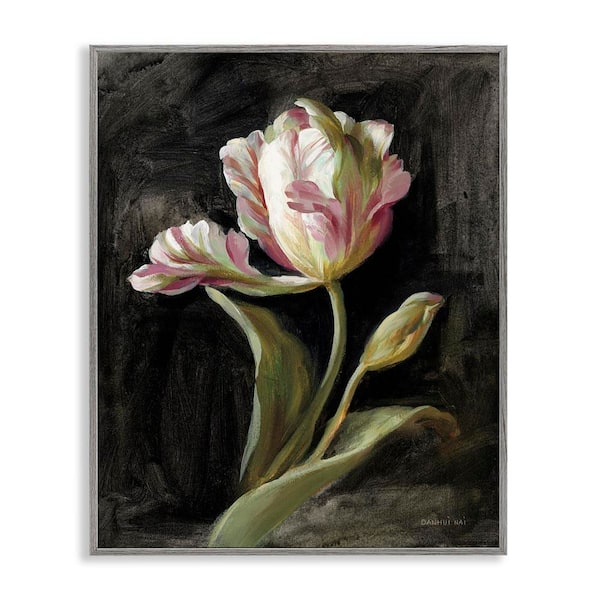 Stupell Industries Tulip on Black by Danhui Nai Gray Framed Nature Giclee Art Print 20 in. x 16 in.