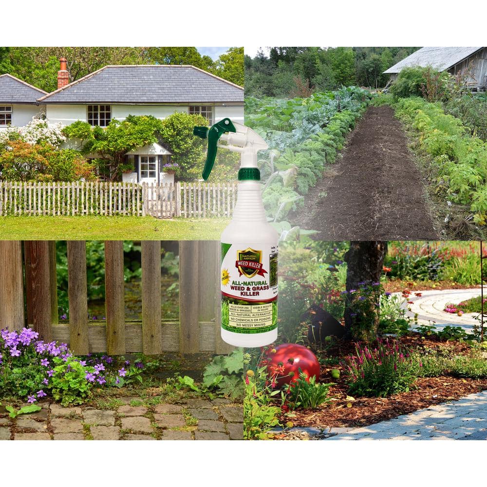 Buy 128 oz. All-Natural Weed and Grass Killer Ready-To-Use No ...