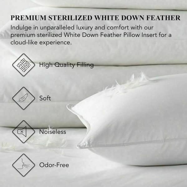 22 x 22 down pillow insert best sale