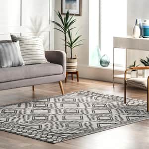 Cameron Gray 9 ft. x 12 ft. Moroccan Area Rug
