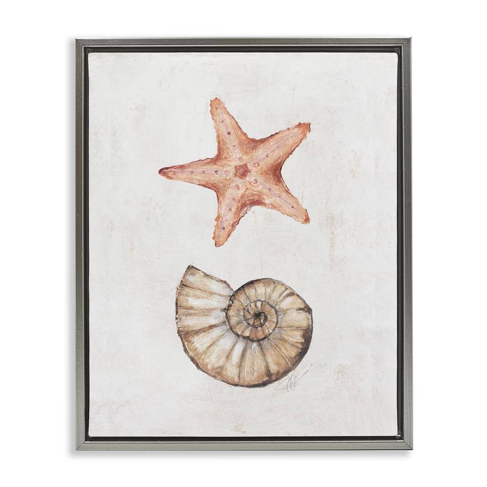 Subtle Sea Life by Filippo Ioco Gray Floater Frame Coastal Graphic Art Print 31 in. x 25 in. price history on PriceWatchPro