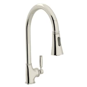 Michael Berman Single-Handle Pull-Down Sprayer Kitchen Faucet in Polished Nickel