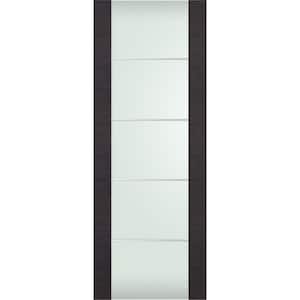 Avanti 202 4H 18 in. x 92.5 in. No Bore Full Lite Frosted Glass Black Apricot Wood Composite Interior Door Slab