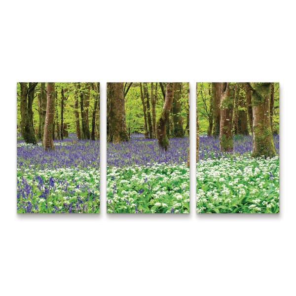 Trademark Fine Art Michael Blanchette Photography Bluebells and Garlic 3-Piece Panel Set Unframed Photography Wall Art 19 in. x 36 in.