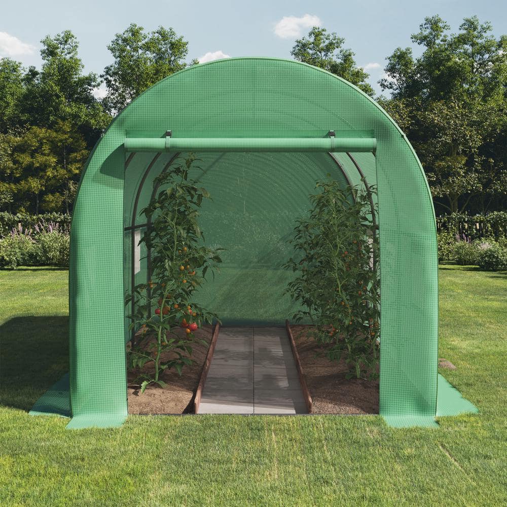 Green Polyethylene Walk-In Greenhouse with Steel Frame