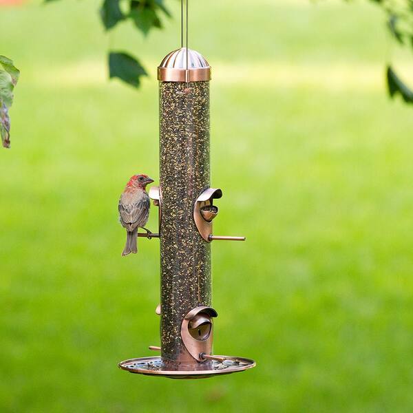 Perky-Pet 2-in-1 Wild Bird Feeder Perky-Pet 2-in-1 Wild Bird Feeder