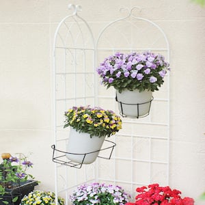 71 in. Metal Garden Rustproof Trellis for Climbing Plants, Cream White