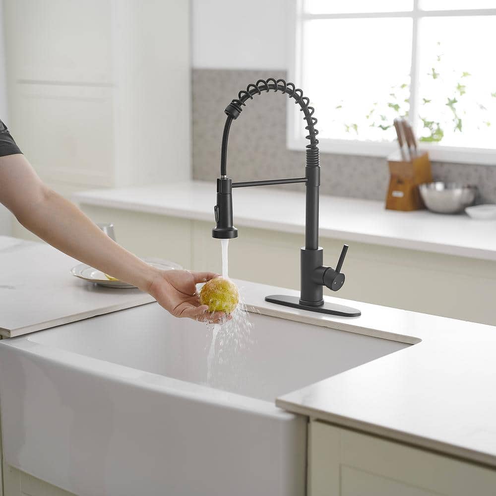 Matte Black Single-Handle Pull-Down Sprayer Kitchen Faucet
