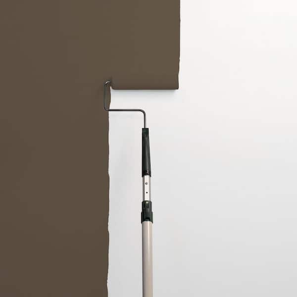 Star Anise PPG1022-7 Paint