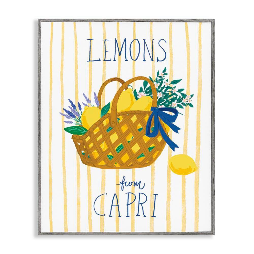 Lemon Basket from Capri by Be Ni La Gray Framed Food Giclee Art Print 20 in. x 16 in. price history on PriceWatchPro