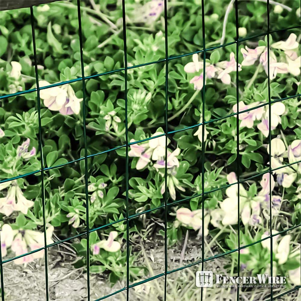 Green Vinyl Coated Welded Metal Garden Fence Wire Roll, 4 ft x 50 ft