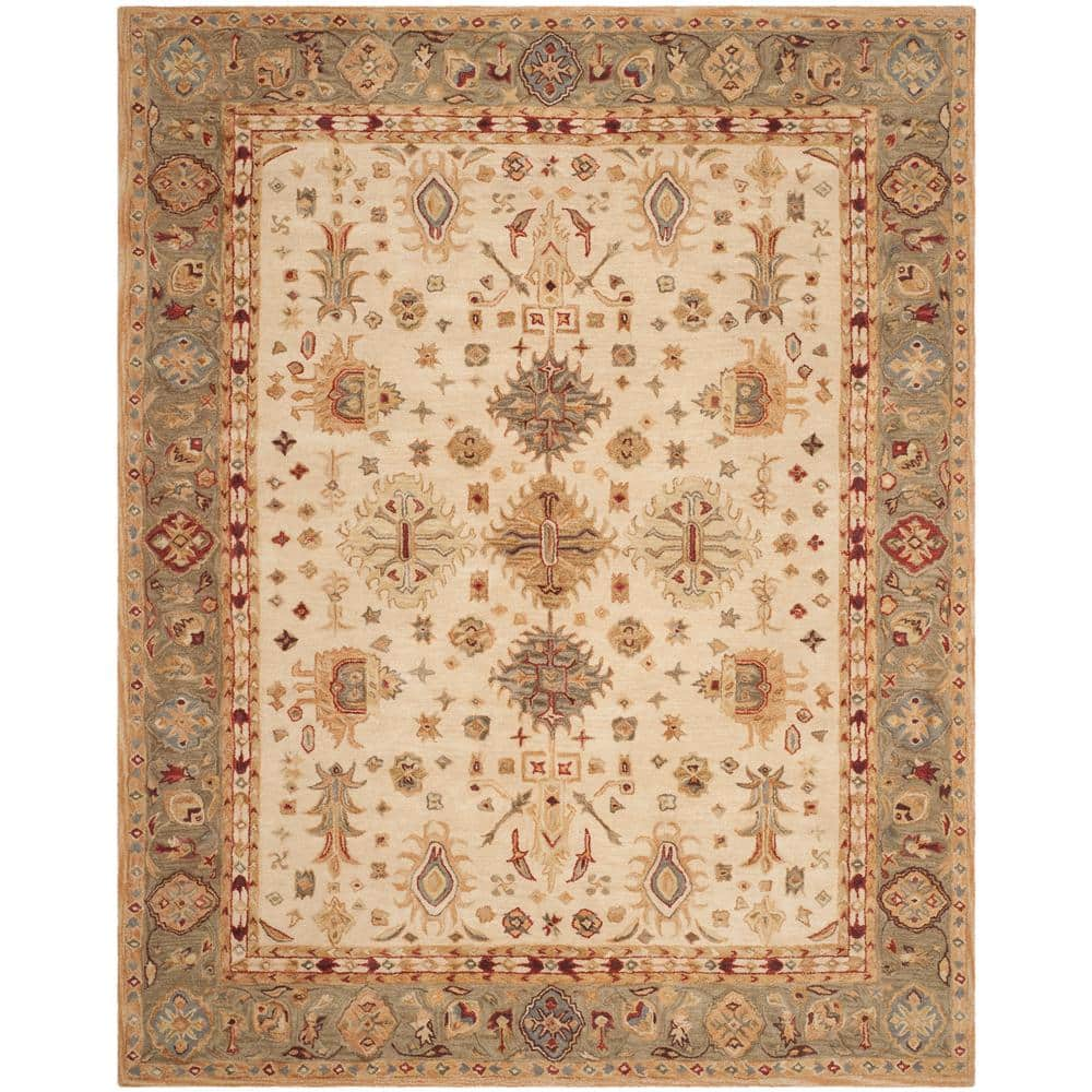 SAFAVIEH Anatolia Ivory 8 ft. x 10 ft. Border Distressed Geometric Area