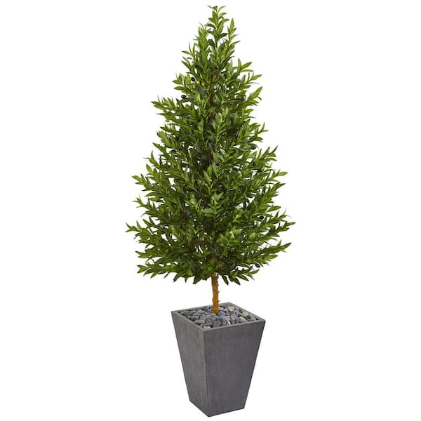 5.5 ft. Indoor/Outdoor Artificial Olive Cone Topiary Tree in Slate Planter