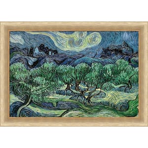 Olive Trees with Alpilles in the Background by Vincent Van Gogh Andover Framed Nature Art Print 29.38 in. x 41.38 in.