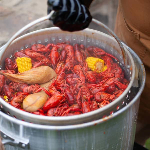 https://images.thdstatic.com/productImages/0659147a-8a34-4db1-9b74-df6e733d4aea/svn/loco-crawfish-boilers-lctskss100-fa_600.jpg