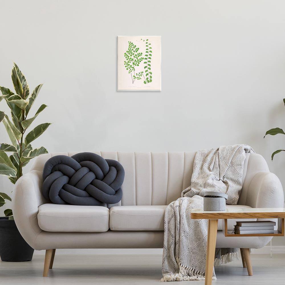 Vivid Green Ferns Study by Phillipa Katz Unframed Nature Graphic Art Print 14 in. x 11 in. price history on PriceWatchPro