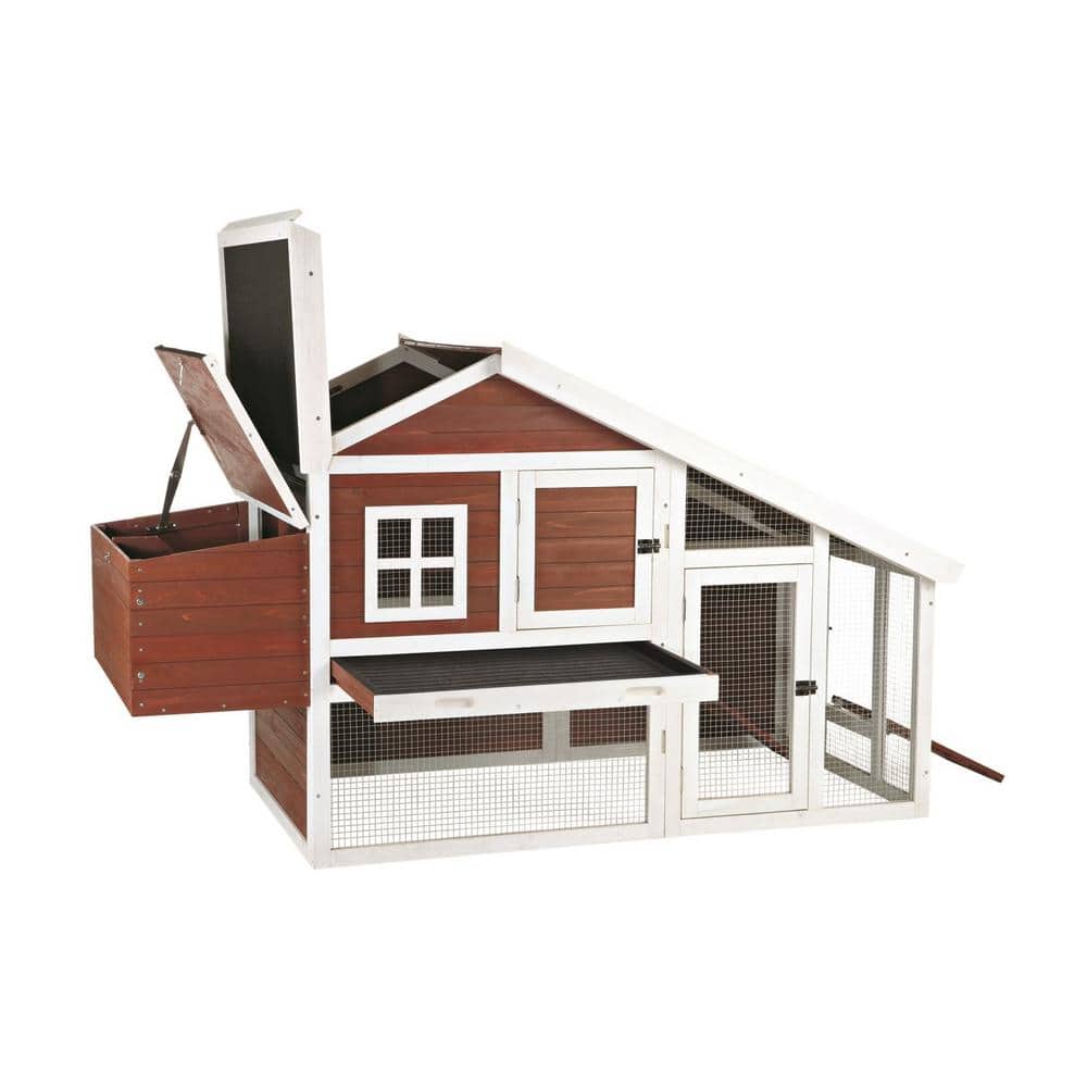 Auburn and White Wooden Chicken Coop with Nesting Boxes