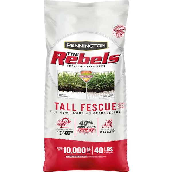 The Rebels 40 lb. 10,000 sq. ft. Tall Fescue Grass Seed Blend