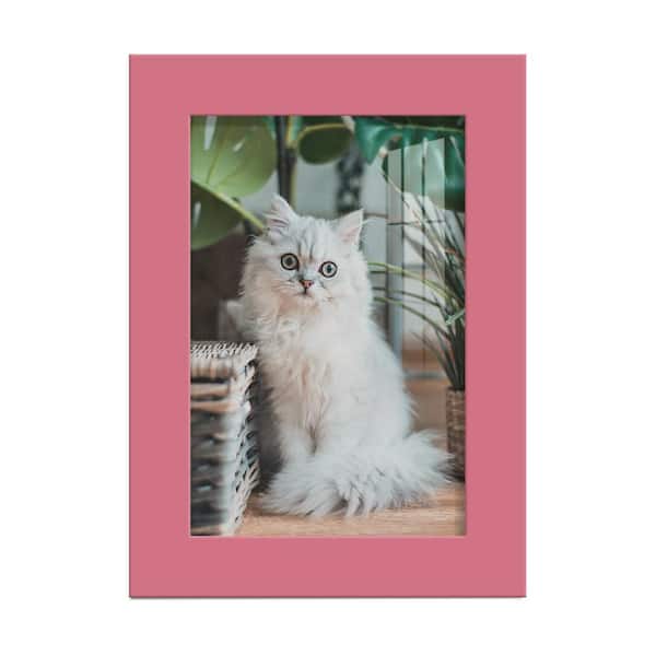 Wexford Home Modern 4 in. x 6 in. Hot Pink Picture Frame