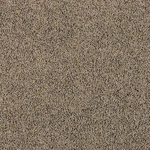 8 in. x 8 in. Texture Carpet Sample - Radiant Retreat II - Color Slate