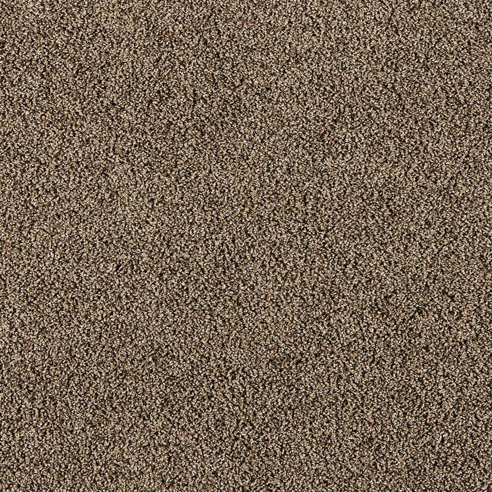 8 in. x 8 in. Texture Carpet Sample - Radiant Retreat I - Color Slate price history on PriceWatchPro