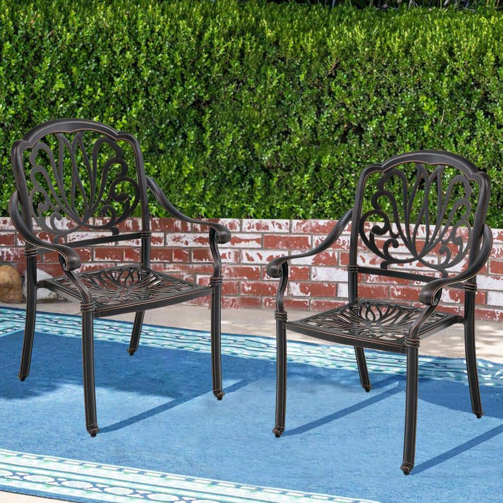 Cast Aluminum Outdoor Dining Chair Set of 2, Bronze price history on PriceWatchPro