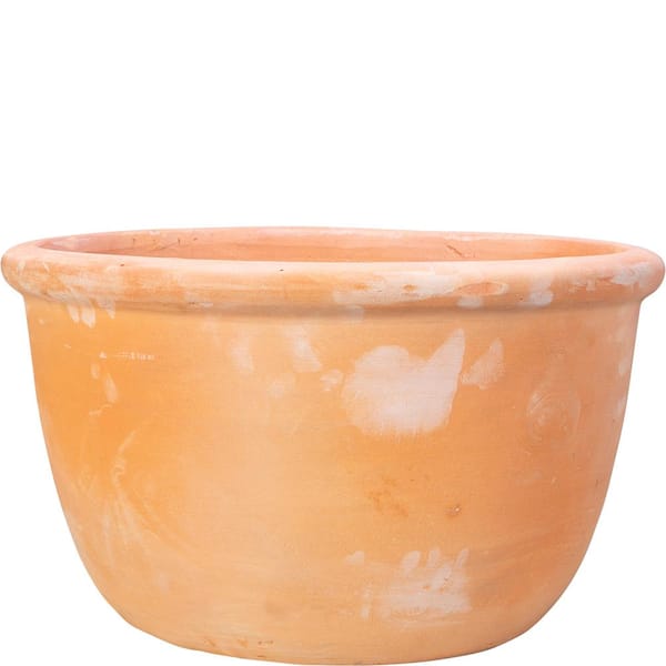 Unbranded 21 in. Terracotta Egg Planter with Lip