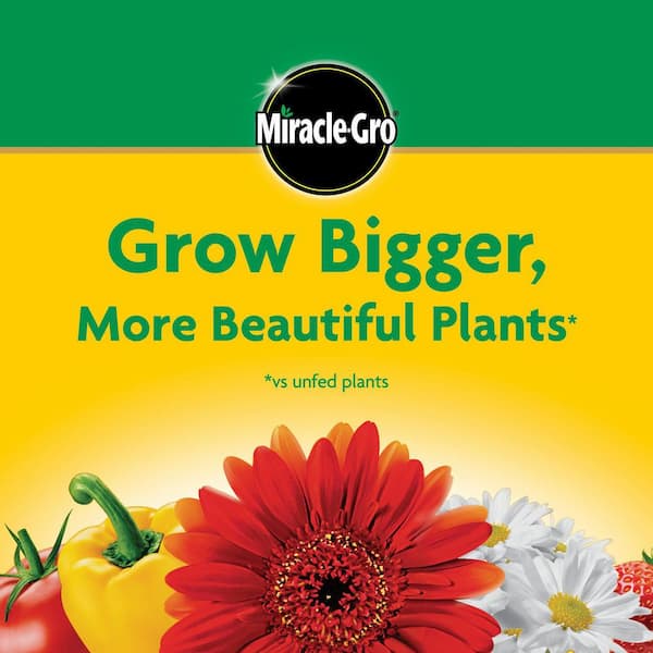Miracle-Gro 1.5 lbs. Water Soluble All-Purpose Plant Food 2001123 - The  Home Depot