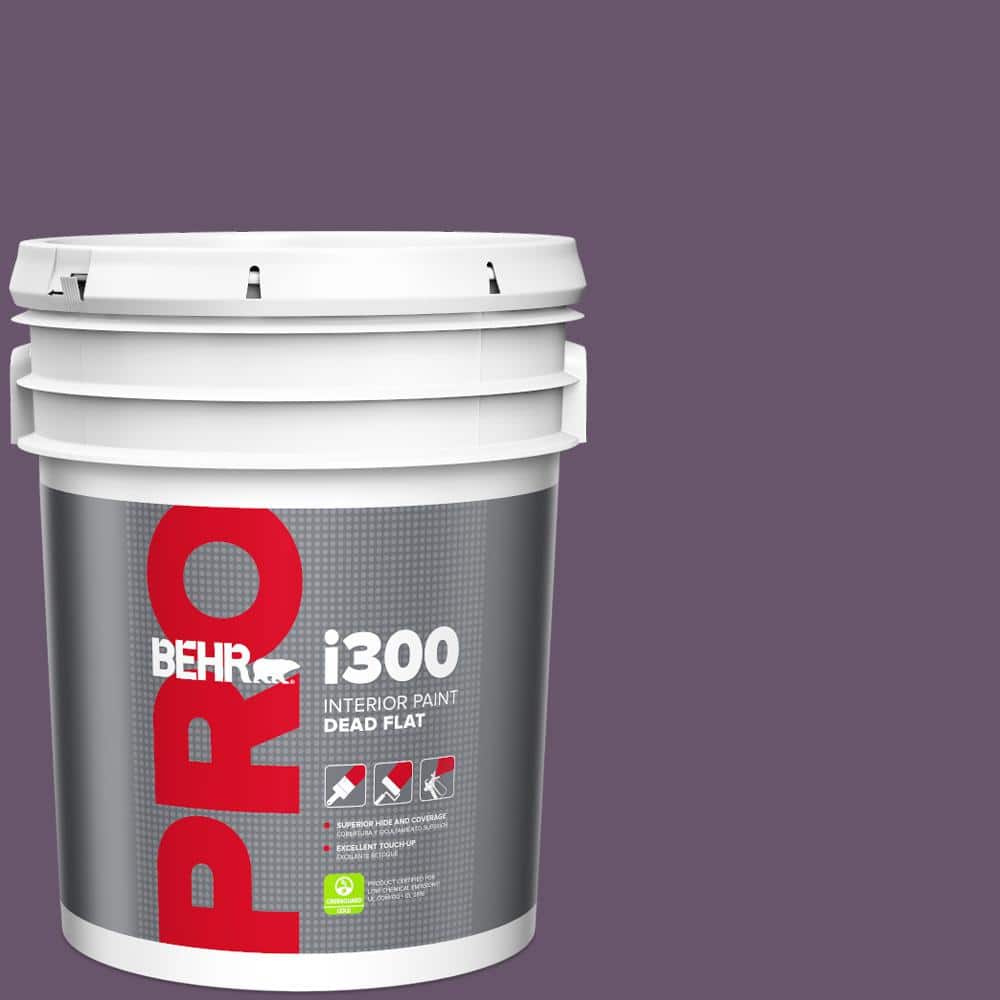 5 gal. #M100-6 Vintner Dead Flat Interior Paint price history on PriceWatchPro