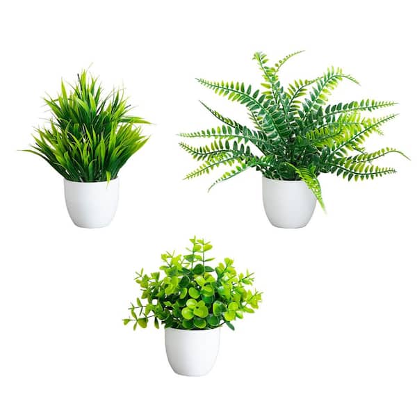 7 in. Green Artificial Mixed Evergreen Assorted Flowers in White Round Pot - Set of 3