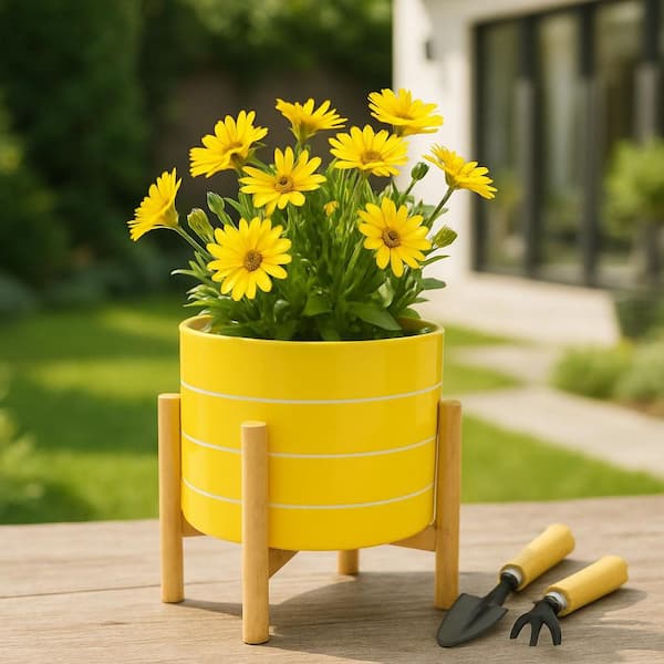 Liv & Skye Yellow Ceramic Striped Planter (8 in. W x 9 in. H) with